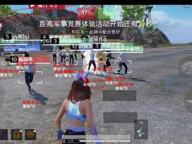 和平精英开了外挂